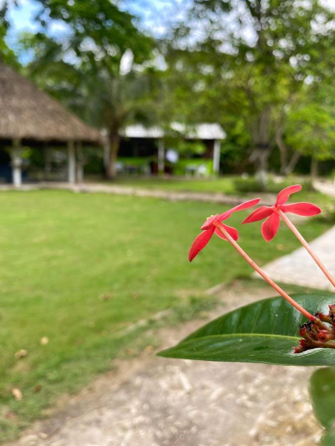 Eco Hotel Bosque Encantado Isla Grande (Cartagena) Exterior foto